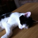 Chloe Bond - @chloebond123 - Twitter