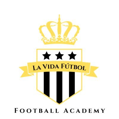 La Vida Fútbolさんのプロフィール画像