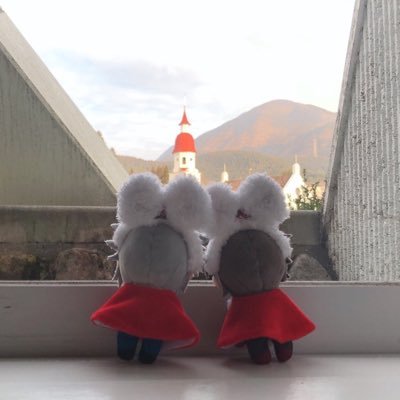 腐れ成人。ぬいも基本🐴🐰、5️⃣7️⃣固定。たまにゲストに🐦さん。さじゅもちがたまらなく好き♡こちらはぬい&日常&ニャン専用垢。CP固定派なのでファボにムラがありますが、全てのぬいちゃん可愛いと思ってます🥰無言フォローすいません🙏創作執筆MPMR→(@echiusa45)呪垢→(@jyu_mpmr)