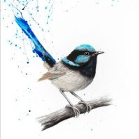 Blue Wren Tarot(@bluewrentarot) 's Twitter Profile Photo