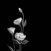 ~✨.. (@dooonghe) Twitter profile photo
