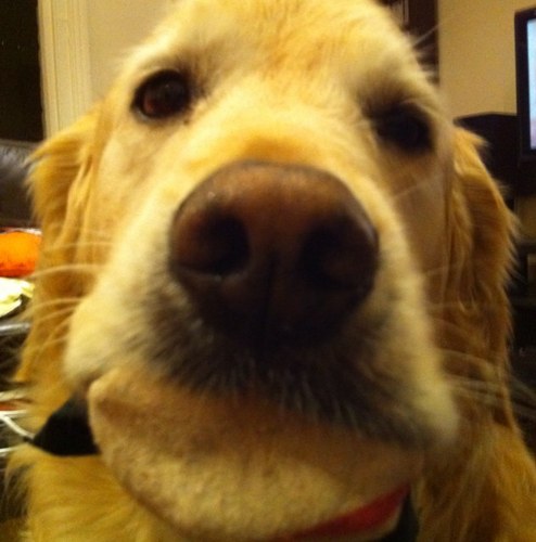 chopmedia's profile picture. 