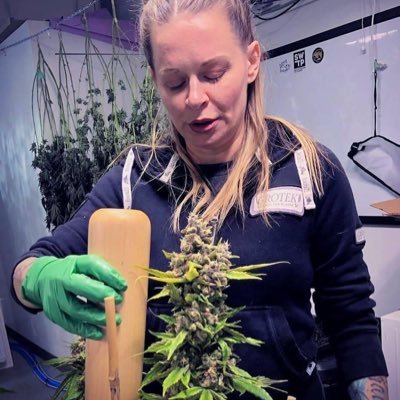 Follow me. 👩‍⚕️Am a licensed medical cannabis nurse.15+ Cultivation Experience ⛽️🍁 Cannabis Consultant/Genetics Nurse. Menu AVAILABLE and UPDATED ALWAYS. HMU
