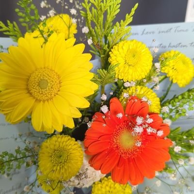 CvNy9XAzntCie4j's profile picture. 閲覧用