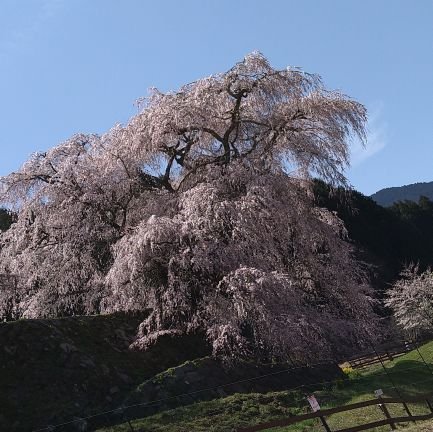 syu14005538's profile picture. メインと別に作りました。
今まで釣りアウトドアメインでしたが生物好きなのでとりとめ無いこと含めて色々呟いていこうかと思います。
広く浅く、物事に雑食ですので無言フォロー、リツイートしてしまうのはご容赦下さいませ。