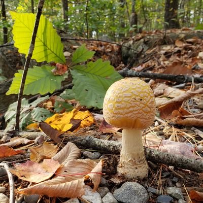 seamus_woods's profile picture. Always embracing change.