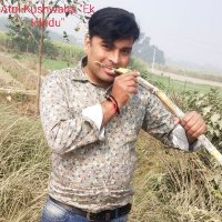 Anuj Kushwaha (@anuj_real1) 's Twitter Profile