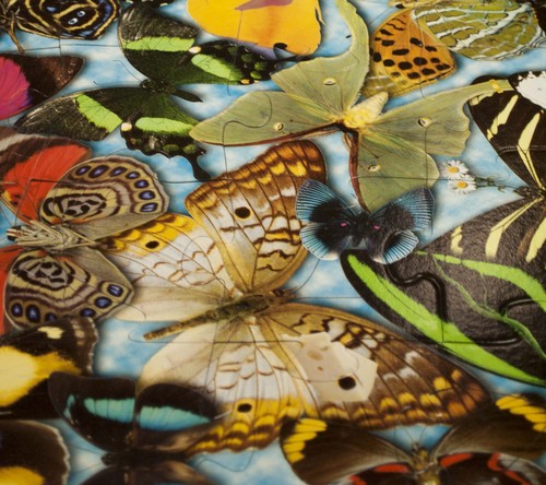 valdharris's profile picture. Videographer, photographer, tutor,