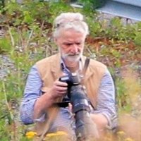Matti Hannula (@hannula_matti) 's Twitter Profile