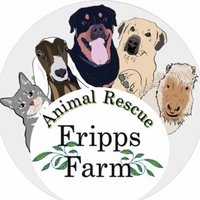 @frippsfarm (@frippsfarm) 's Twitter Profile