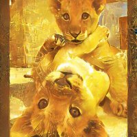 Laila (@laila_fut) Twitter profile photo