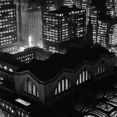 EricPlecis's profile picture. célibataire