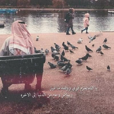 aldahhas_fahad's profile picture. إما تجيني حكمه أبلغ من الصمت
أو ألتزم الصمت والصمت حكمه