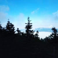 あやめ@中国日本🇨🇳🇯🇵読書好き🌞東京🌵上海 (@ayame_shanghai) 's Twitter Profile