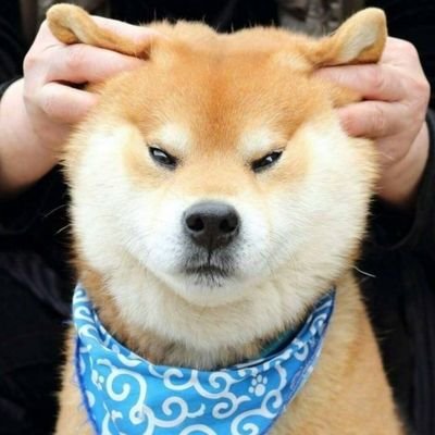 yizhong65401632's profile picture. 在真实世界寻找反馈