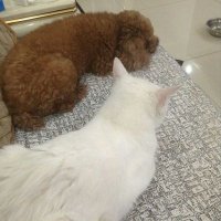 mi&marin LINEスタンプとLINE絵文字販売中 (@mimarinline1) 's Twitter Profile