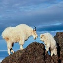 Mike 'n Kerri Jordan - @MnKJordan - Twitter