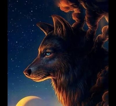 O lobo não perde o sono por causa de opiniões de ovelhas!!
Pátria, amada, Brasil 💪💪🇧🇷🇧🇷