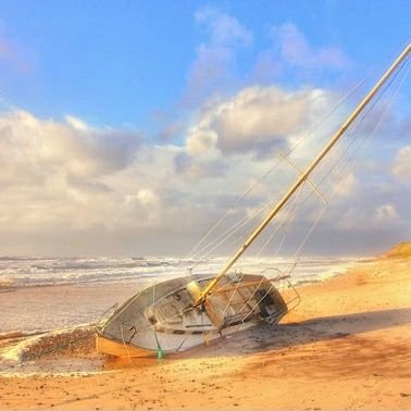 GrandfathersLeg's profile picture. 