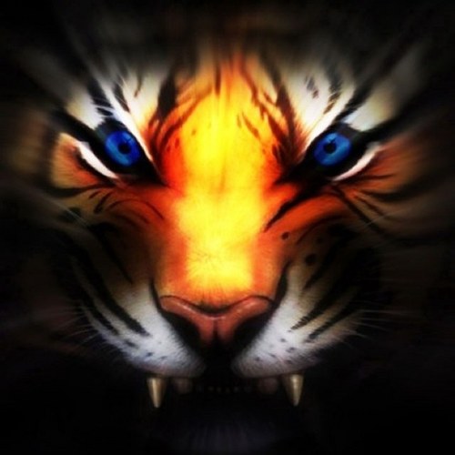 zakhui's profile picture. 