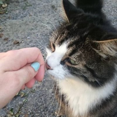 melisaa0652's profile picture. 