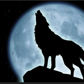 ex medical rep, no jab, watching this upside down world,
Politically homeless, follow the money
Common sense magnet.
https://t.co/4TzhWPFLWA…
