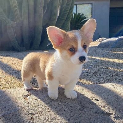 jonathan_0428_'s profile picture. uva’26