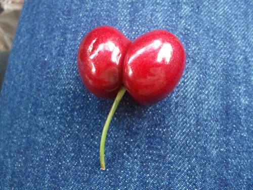 stonefamily4's profile picture. 