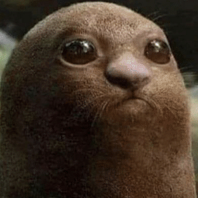 ivano_slieker's profile picture. 