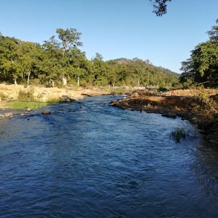 rajatweettoday's profile picture. Normal Citizen of World