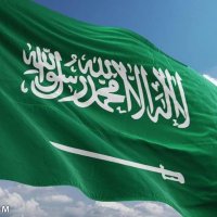 شمال المملكه (@almego2022) 's Twitter Profile