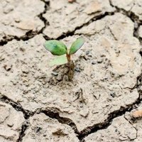 İhtiyar Delikanlı (@ihtyr_dlknl) 's Twitter Profile