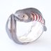 ノブチャンチン🐟 (@nobchanchyn) Twitter profile photo ノブチャンチン🐟 (@nobchanchyn) Twitter profile photo