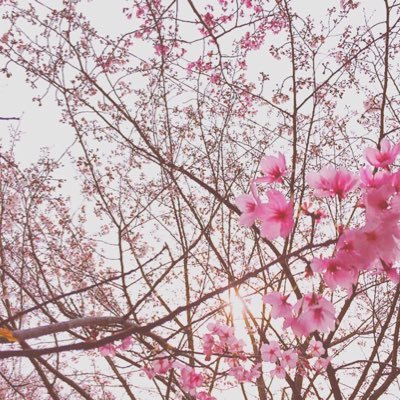 ✨楽天room✨楽天市場の商品を主に紹介します。気に入った商品や実際に購入しオススメしたい商品を載せているので気軽に見てみてください!🚩まだ始めたばかりの初心者ですがよろしくお願いします! ダイヤモンド会員です!💎