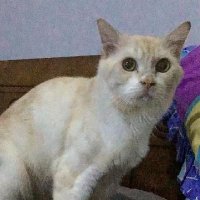 Sage Tirta (@tirta_sage) 's Twitter Profile