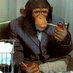 Monke on da tree (@revivedmonke) Twitter profile photo Monke on da tree (@revivedmonke) Twitter profile photo