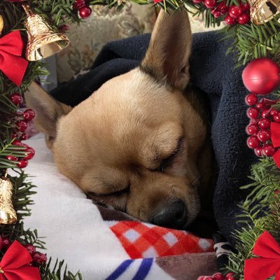 SabrinaPfluger's profile picture. 