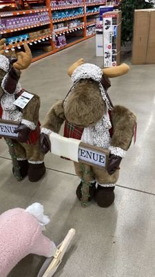 YukiLoveAni's profile picture. 日本⇒診療放射線技師　カナダ⇒幼稚園教諭　　　　人生何があるかわからないからいつもワクワク、ドキドキ！🤩