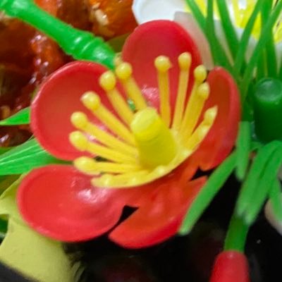 おとといのネギさんのプロフィール画像