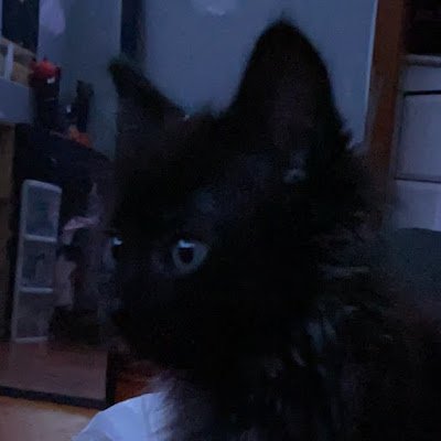 BaileyPapps's profile picture. 