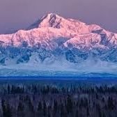 Guiller00478735's profile picture. 