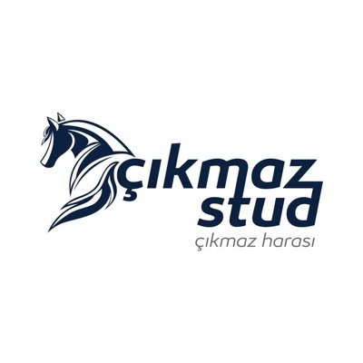 ÇIKMAZ STUD