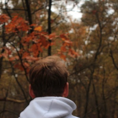 VfxStijn's profile picture. 
