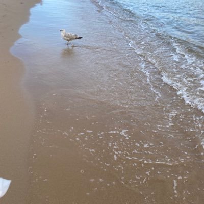 shakan222's profile picture. Mum of 2 - Girl & Boy ❤️💙 #family