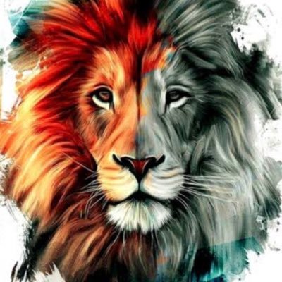 menorde1milhaoo's profile picture. SÓ DEUS ME GUIA !!🕊️🙏🏽❤