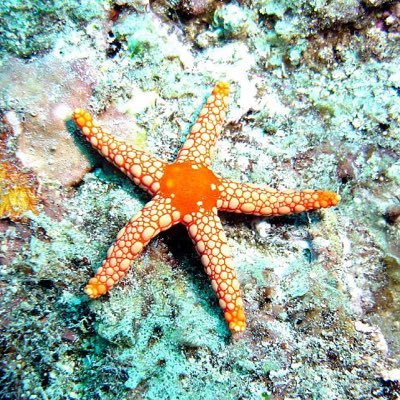 bluzrunnr's profile picture. retired guy, recovery guy, family guy, happy guy, mucker