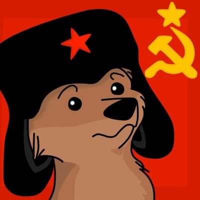 KaueKGG's profile picture. chapéu de otário é marreta.