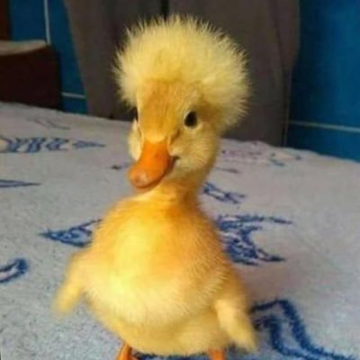 EdwinRi14547893's profile picture. 