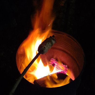 TobiQuartan's profile picture. 