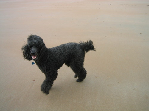 HelenPB's profile picture. 